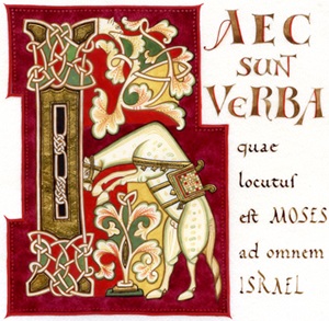 Cheval enluminure Anne Demoustier