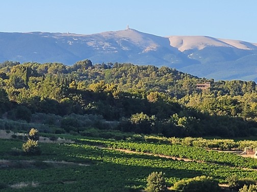 l'abbaye sur fond de Ventoux